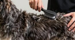 carefully trim double coats