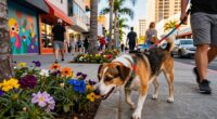 city dog walk enrichment
