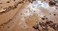 cleaning muddy sandy rain