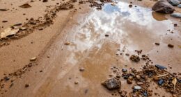 cleaning muddy sandy rain