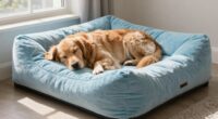 comfort boosts dog recovery