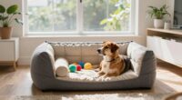 comfortable indoor dog spaces