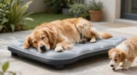 dog cooling bed benefits