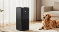 dog dander air purification