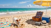 dog friendly beach essentials
