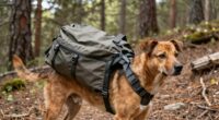 dog hiking pack weights