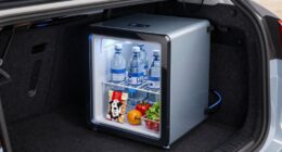 dog travel cooling solutions