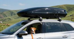 dog travel roof storage