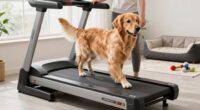 dog treadmill versus walks