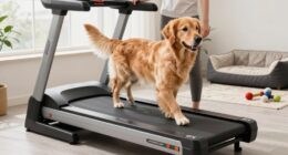 dog treadmill versus walks