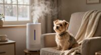 dry air increases dog itching