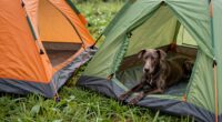 durable comfortable tent flooring