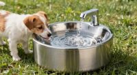 durable hygienic pet fountains