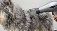 efficient grooming with tools