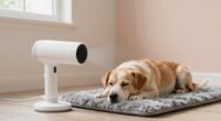 gentle quiet dog drying