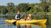 introductory dog kayaking skills
