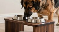 large dog feeding height