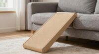 prevention with dog ramps