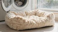properly cleaning dog beds