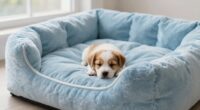 puppy orthopedic bed support