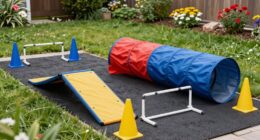 safe backyard agility setup
