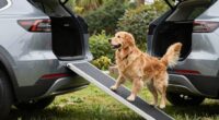 suv dog ramp safety