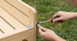15 Best Outdoor Dog Playpen in 2026
