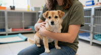 Pima Animal Care Center (PACC)