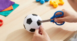 11 Best Dog Soccer Toys in 2026