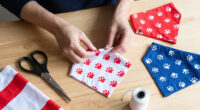 12 Best Dog Patriotic Bandanas in 2026