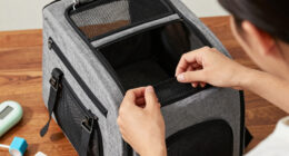 12 Best Pet Travel Backpacks in 2026