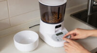13 Best Automatic Pet Feeders in 2026