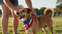 15 Best Patriotic Dog Bandanas in 2026