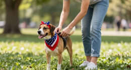 15 Best Pet Patriotic Accessories in 2026