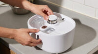 15 Best Pet Water Fountains in 2026