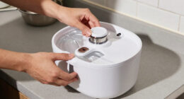 15 Best Pet Water Fountains in 2026