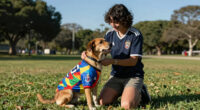 8 Best Dog Soccer Jerseys in 2026