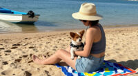 Beach Day The Pet-Safe Way — With Bonus Boat Safety Tips!