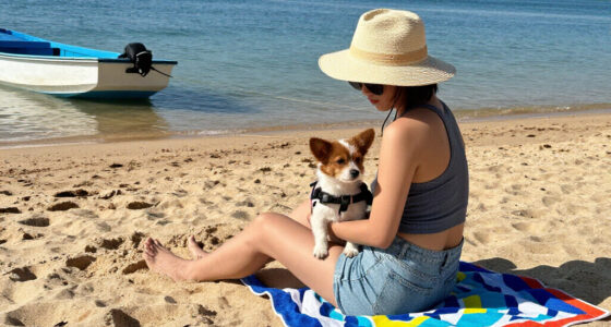 Beach Day The Pet-Safe Way — With Bonus Boat Safety Tips!