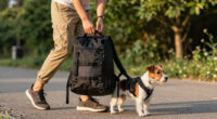 Dog Backpacks For Outdoor Walks: A Back to school Guide