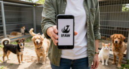 International Fund For Animal Welfare Surges In Global Coverage
