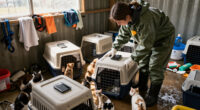 ASPCA Assists With The Emergency Evacuation Of Over 50 Animals Due To Flooding