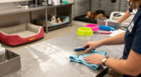 Clear The Shelters: Hundreds Of Homeless Pets Available At OC Animal Care