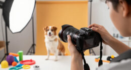International Pet Photography Surges In Global Coverage