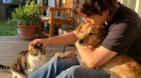 Take Your Pick From These Dogs And Cats Yearning For A Home - The Florida Times-Union