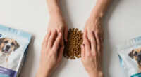 15 Best Dog Food Brands for 2026