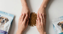 15 Best Dog Food Brands for 2026
