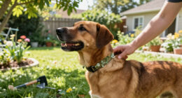15 Best Natural Flea And Tick Prevention For Dogs In 2026