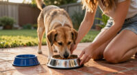 15 Best Pet Food Bowls for Easier, Cleaner Feeding in 2026