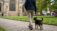 Salisbury Cathedral – Pet Service